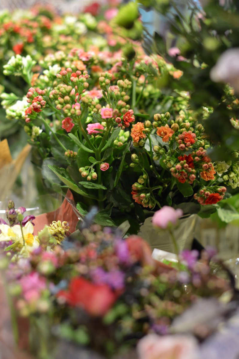 dartsfarm's tweet photo. Assorted roses, blossoms, scented tuberous, helleborine &amp; chaenomeles, our #FlowerShack are busy creating a beautiful selection of hand-tied bouquets to suit everyone this #ValentinesDay! #TuesdayMotivation https://t.co/MBBgFZN5up