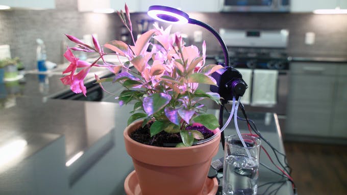 Raspberry_Pi's tweet image. New post: say goodbye to crispy, yellowing house plants and hello to luscious greenery galore with the Raspberry Pi Zero W automated gardener from @hackerhouseyt.
raspberrypi.org/blog/hacker-ho…