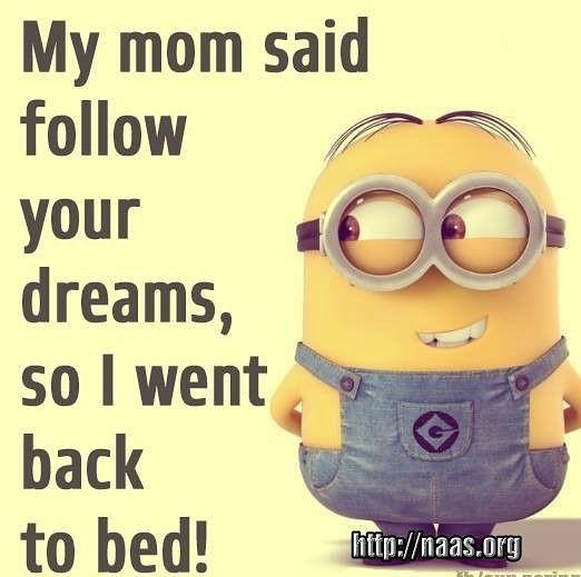 greenleafnurse3's tweet photo. Truth...Now back to bed! Wait, no time for that!! 🌿😥🌿. #travelnurselife #gypsynurselife #RN #morning https://t.co/f57hpJJ3pz
