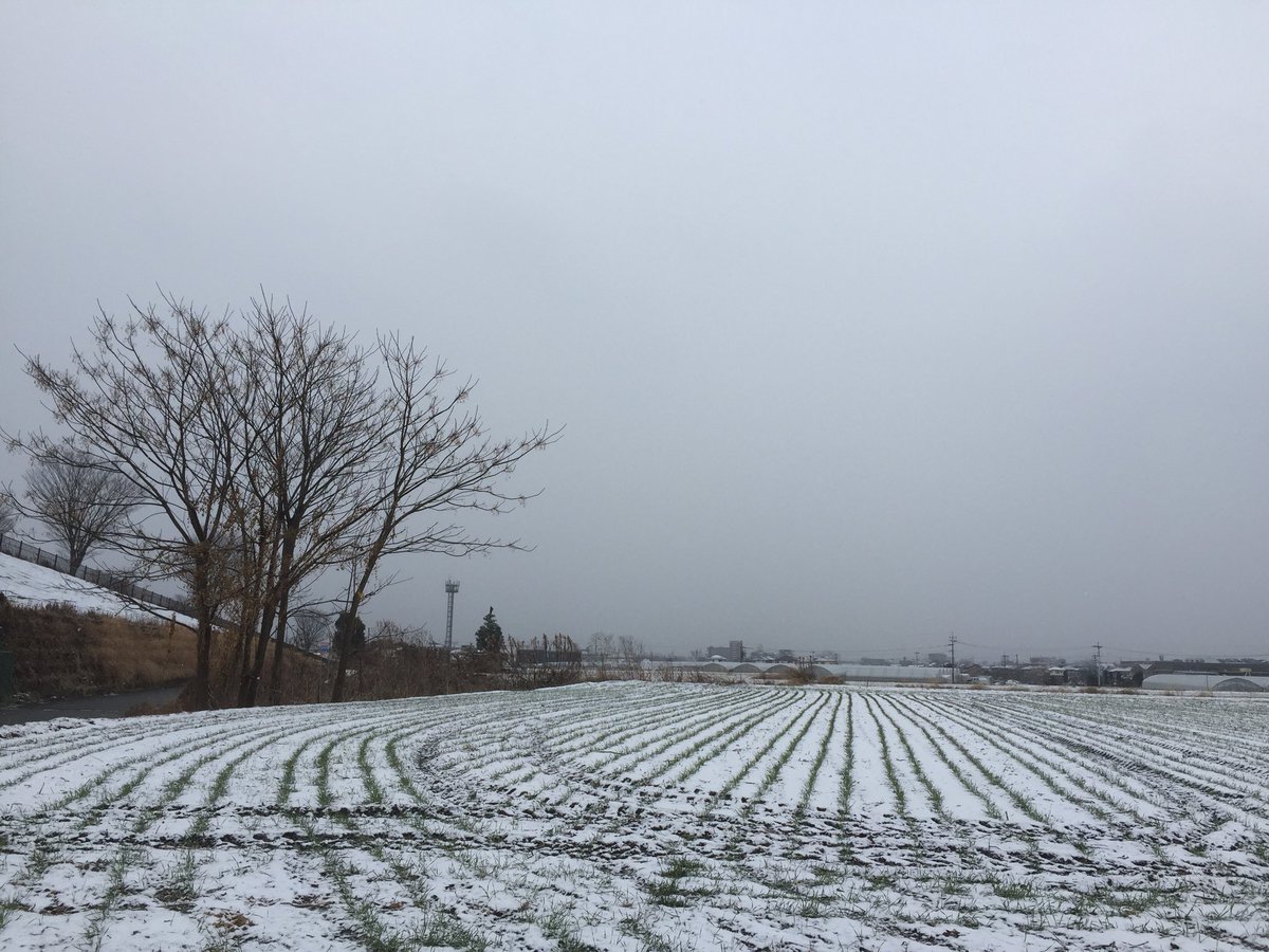 雪もいいですね😄
寒いですが😵