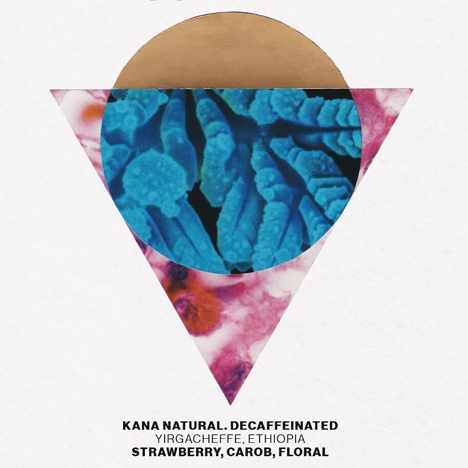 The Kana Natural #Decaffeinated is available to buy in our shop and webstore. This Sparkling Water #decaf is brimming with juicy strawberry, sweet carob and bold florals. The price includes a donation to the @GirlsGottaRun 
more: bit.ly/2ChY5hB

#Coffee #specialtycoffee