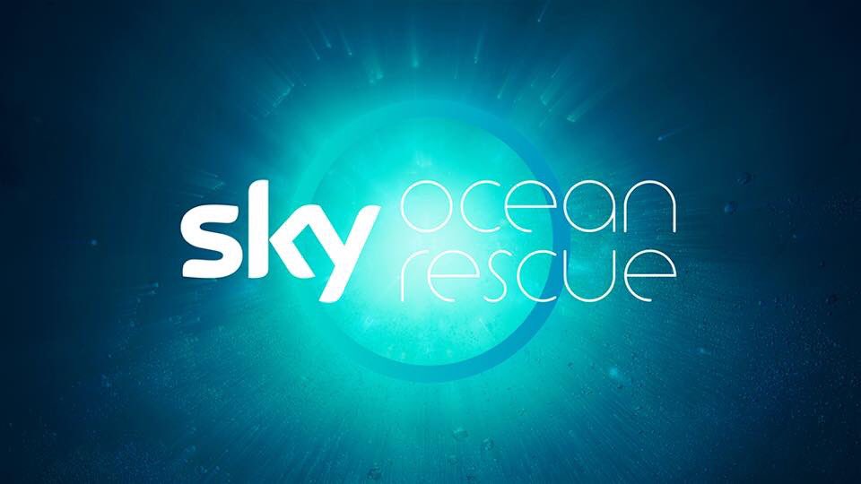 tanskeys_bar's tweet photo. Proud to announce we’ve joined the ocean rescue campaign and have eradicated plastic straws and stirrers from our drinks 💪 https://t.co/xnMDmeifcC