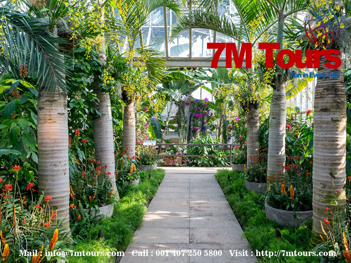 7MTours's tweet photo. #RomanticAirfareDeals,#SeasonalFlightDeals,#WorldTravelDeals,#StudentTravelDeals,#CheapWeekendGetaways,#SportsTravelDiscounts,#FamilyAirfares,#SeniorAirfareDiscounts #MilitaryTravelDiscounts,#LastMinuteFlights-https://t.co/cVfex0hQ45 https://t.co/ZMtQdGvbeE