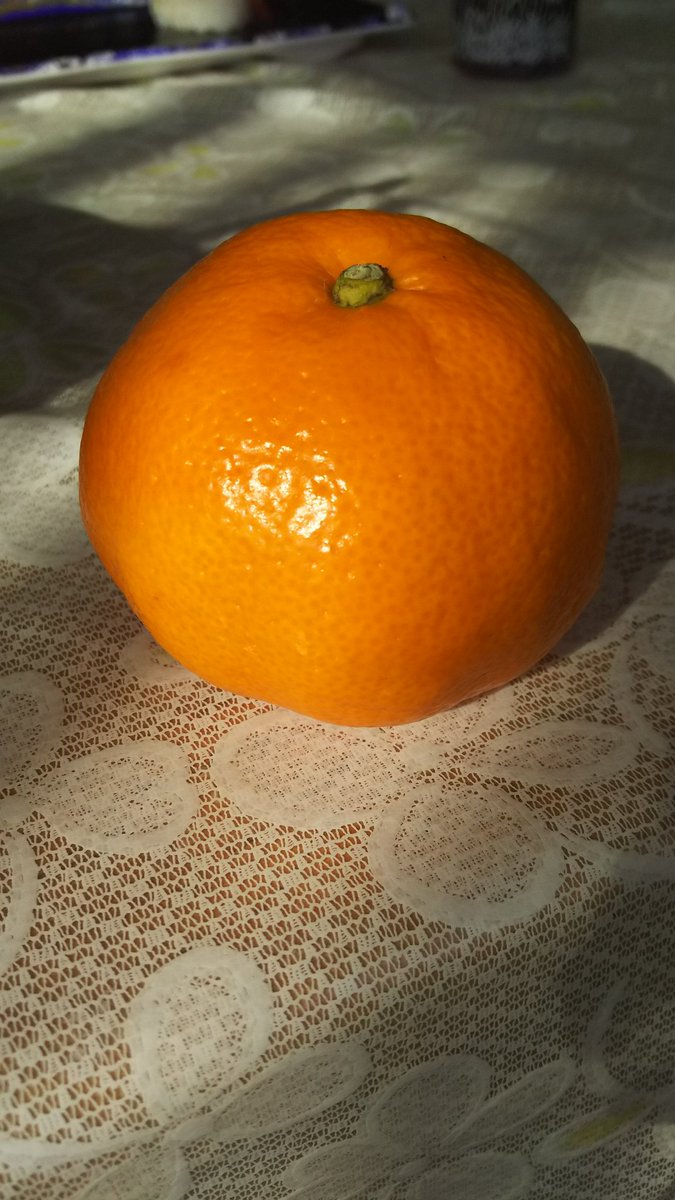 血液型みかんの皮の剥き方 血液型みかんの皮の剥き方