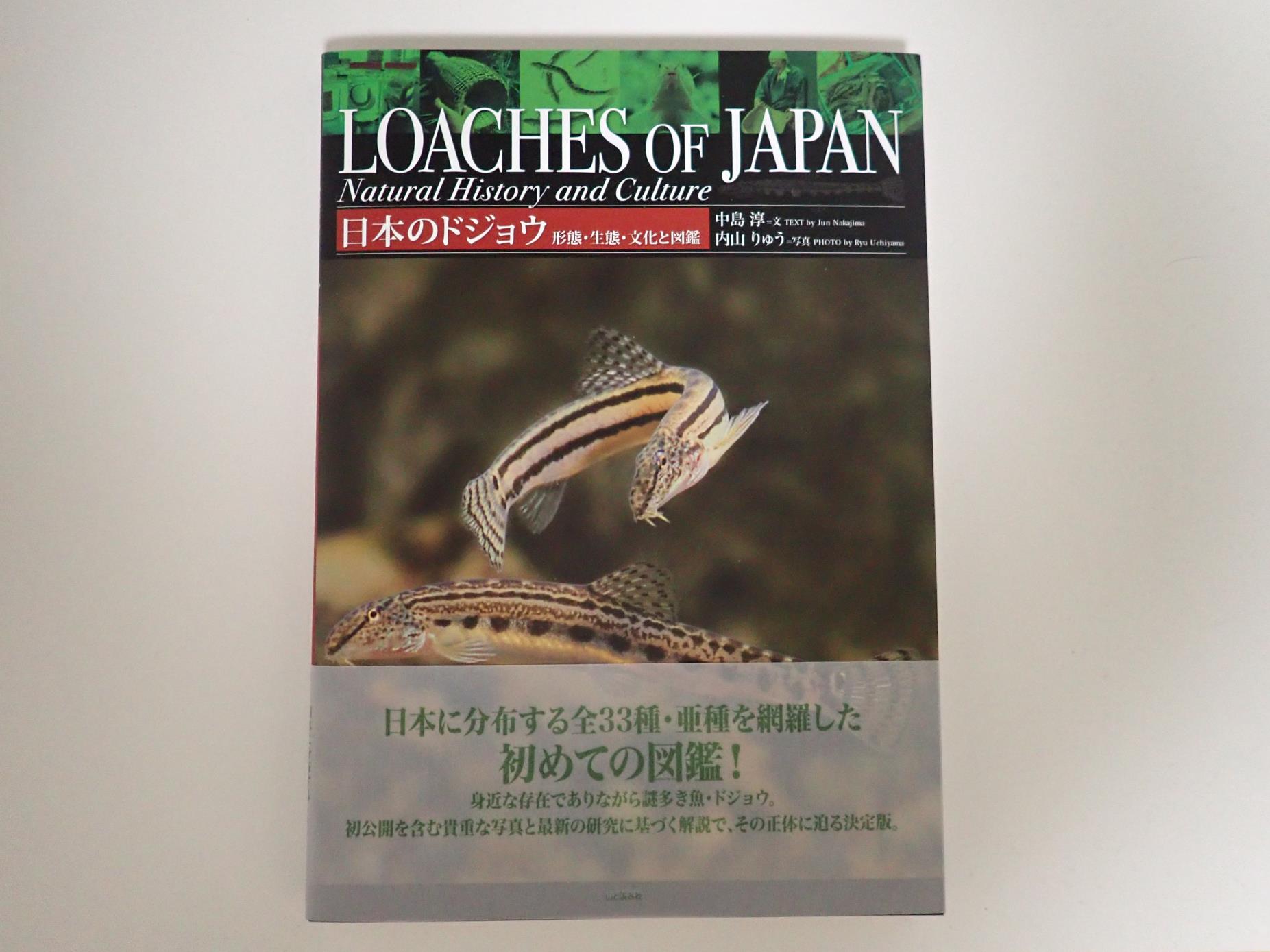 ちょくちょく 日本のドジョウ 形態 生態 文化と図鑑が我が家に 写真 イラストだけでも楽しめそうだが 隅から隅まで読みたい ドジョウがこんなに美しいとは T Co Xzgvvh8d5i Twitter