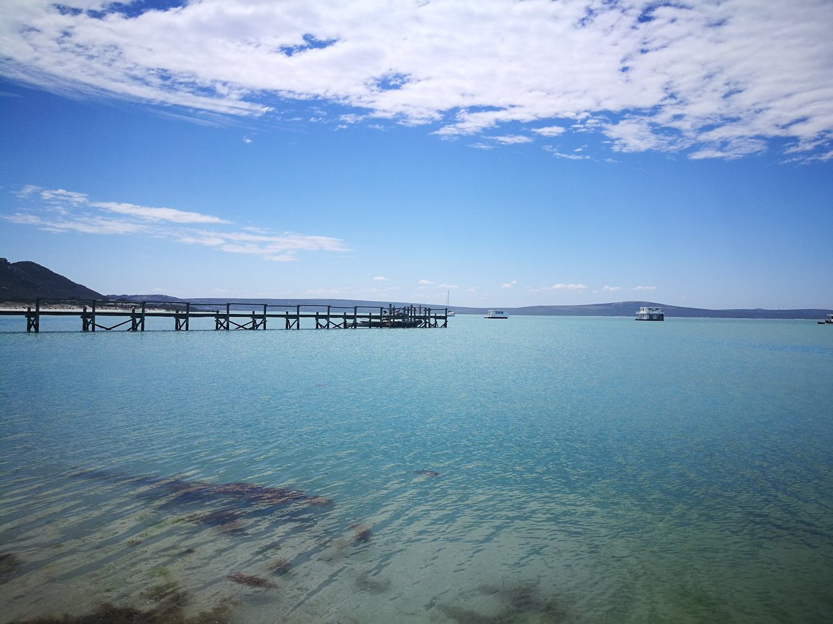 Lifetravellerz's tweet photo. Und wenn wir einfach nicht mehr heimfahren und in Südafrika bleiben??? #Südafrika #deinsuedafrika #langebaan #wanttostayforever #southafrica https://t.co/M0BoTQrRpk