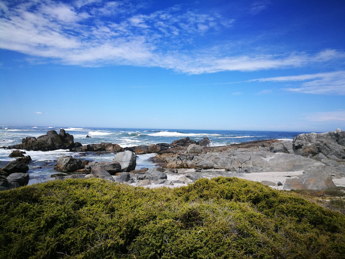 Lifetravellerz's tweet photo. Und wenn wir einfach nicht mehr heimfahren und in Südafrika bleiben??? #Südafrika #deinsuedafrika #langebaan #wanttostayforever #southafrica https://t.co/M0BoTQrRpk
