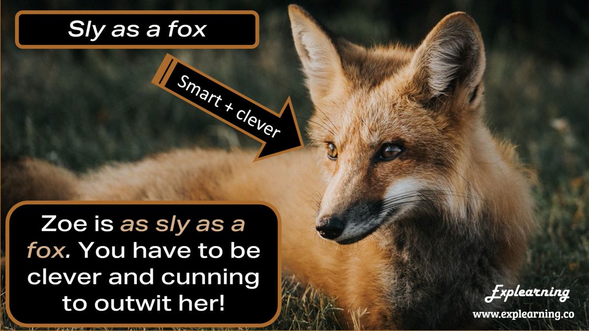 Today on Mardi Gras #FatTuesday be as sly as a fox when you sneak that extra piece of cake! #learnenglish #learnenglishabroad #learnenglishwithus #learnenglishfaster #learnenglishforlife #learnenglishonline #LearnEnglish #learnenglishtogether #LearnEnglishRight #ESL #NYC