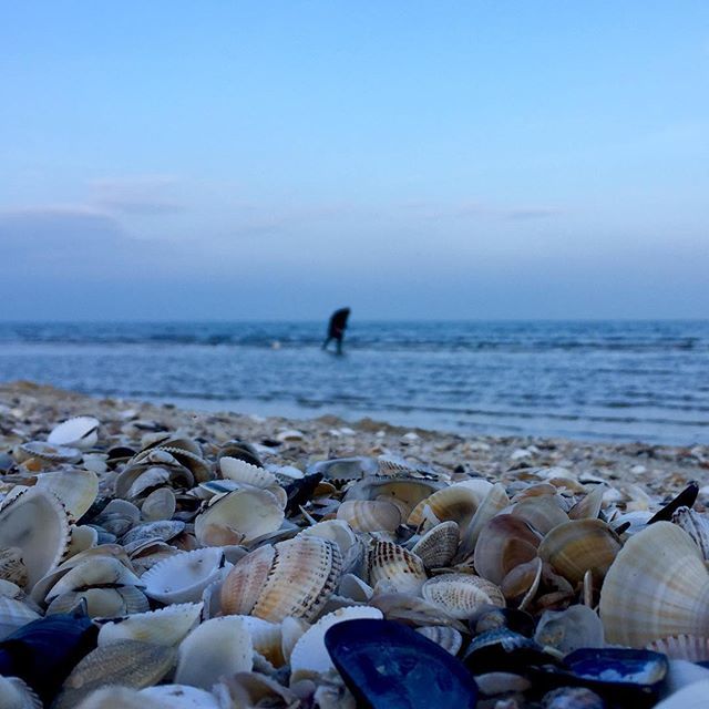 Enrico1977's tweet photo. #cervia è il suo #mare e senza di esso non sarebbe la stessa città.
#theplaceyoulove .
.
.
#sea #summer2018 #spiaggia #beach #beautiful #seaside #beautifuldestinations #travel #pinarella #milanomarittima #tagliatadicervia #cerviamilanomarittima #romagna #igers #igersitalia #… https://t.co/L7tCWATdDY