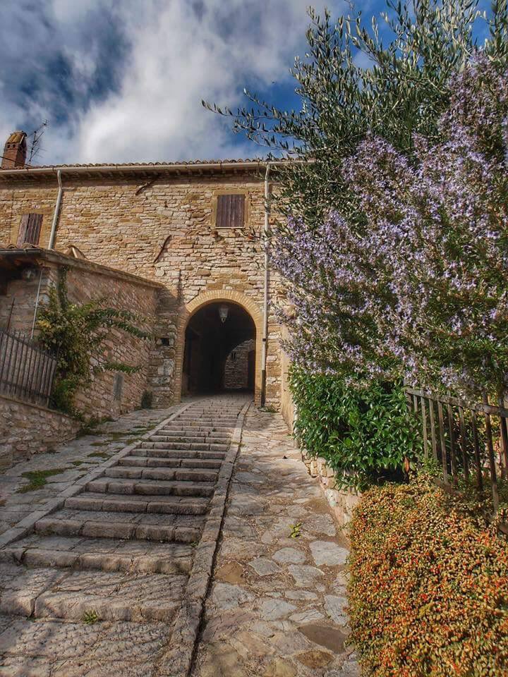 AssisiNostra's tweet photo. Armenzano protagonista del fotoalbum della rubrica *** I LUOGHI DEL CUORE*** su ASSISI NOSTRA con le immagini di La Lori ph. Cliccate su https://t.co/xjxCNXIbeL #armenzano #parcodelsubasio #assisinostra #assisinelcuore #borghimeravigliosi #assisi #frazionidiassisi https://t.co/e8YHOMoyPb