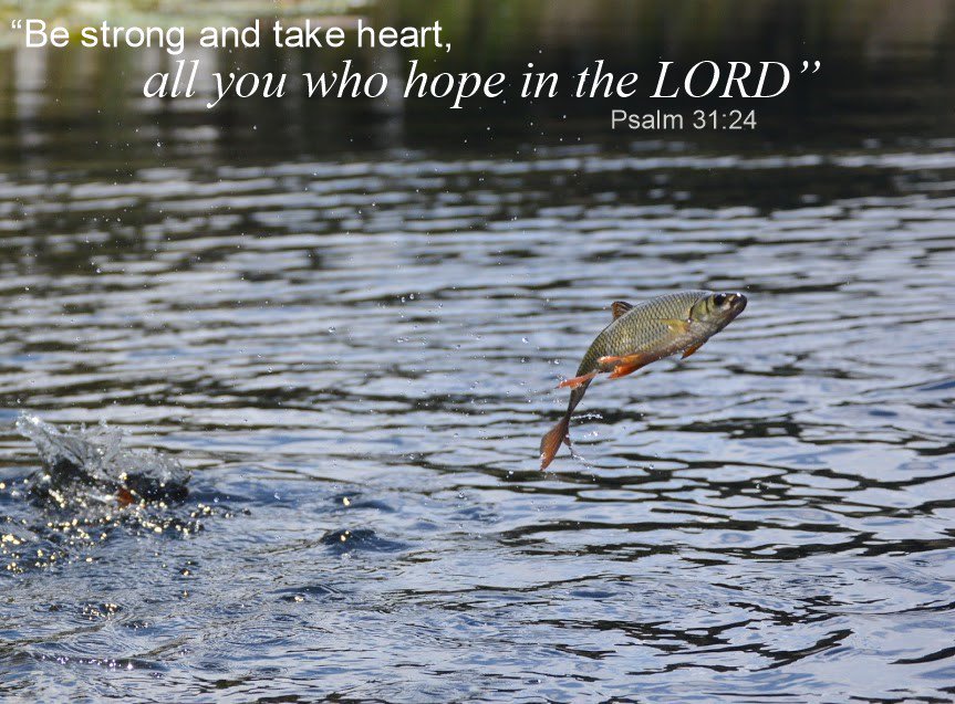 Made this today #bibleverse #inspiration #VerseOfTheDay #verseoftheweek #fish #JUMP #notphotoshopped