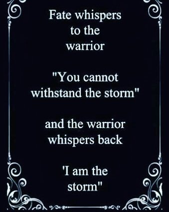 #HealthyFat tweet media