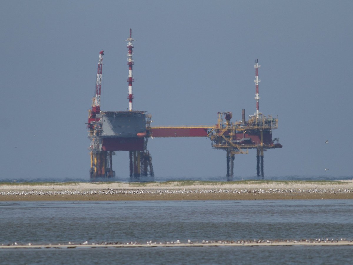Fossielvrij's tweet photo. Binnen 1 dag tekenen ruim 2000 mensen petitie van @waddentweets tegen  komst #boorplatform #Schiermonnikoog! Landelijke media? Zie:  https://t.co/DzLpyL4I6r https://t.co/EksPFE5YZY