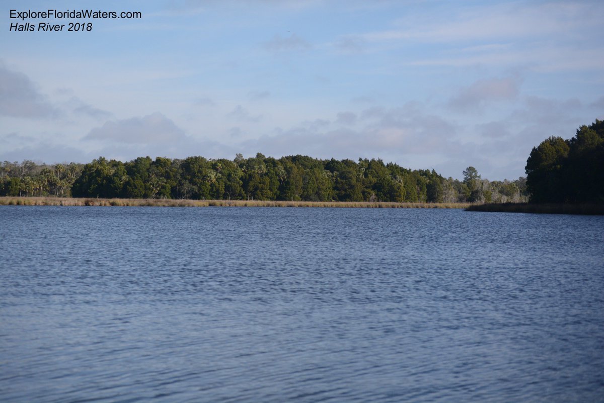 The Halls River is so beautiful!!