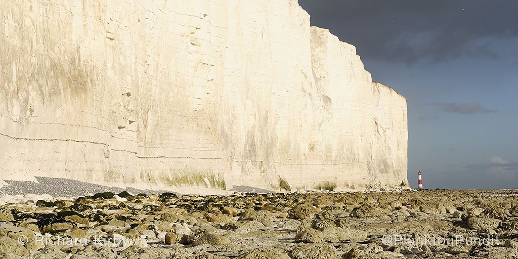 The massive, 100-million-year-old chalk cliffs between Seaford Head and Beachy Head made of Cretaceous phytoplankton. Learn the amazing story here: vimeo.com/84872751