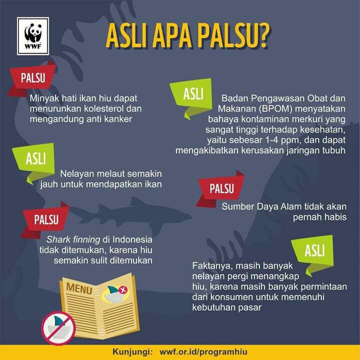 halopiikk's tweet photo. Worth to read! Baca dan resapi. Hiu terancam punah. Selamatkan hiu dari sekarang! Menjaga hiu berarti menjaga keseimbangan kehidupan di laut dan pasokan pangan kita. Loving sharks is also meaning keep them alive to do their duty. #SOSharks #ImlekBebasHiu https://t.co/bk2hZkMOrC