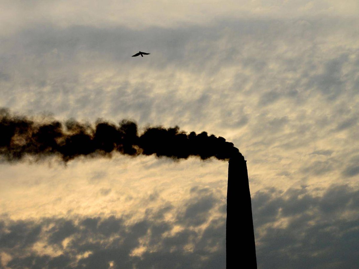 CleanSpaceLDN's tweet photo. Radical solutions to the #airpollution crisis from around the world https://t.co/esoX9AEDPD via @Independent https://t.co/giqy9QMe7R