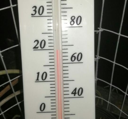 ElCaribeRD's tweet image. Temperaturas seguirán bajando en el país; en el Pico Duarte será de -5 grados ►►► bit.ly/2nZbUgk