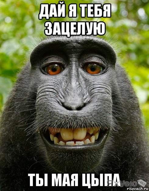 DV77h2sV4AItFzV.jpg