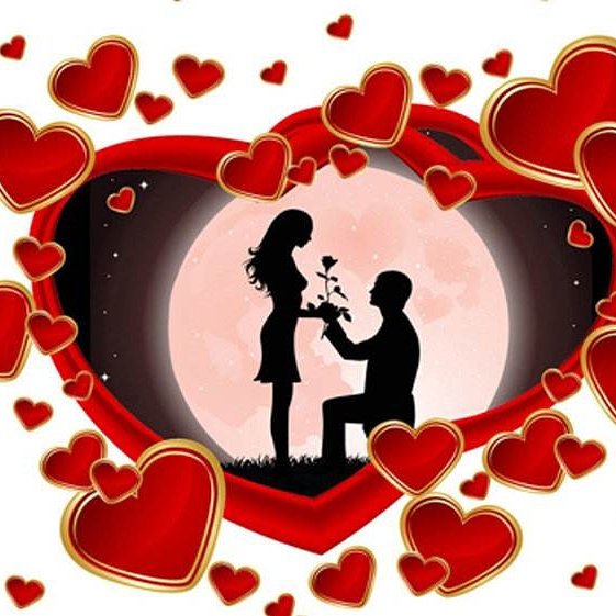 yxfreezer's tweet photo. Happy Valentine's day! All shall be well, and Jack shall have Jill https://t.co/QPT9quZxYs