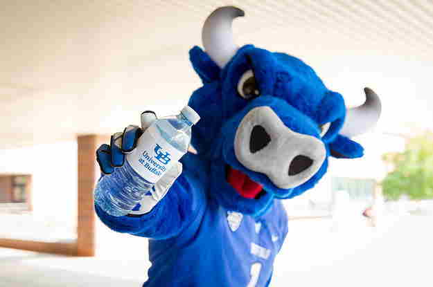 avantgarb's tweet photo. Here's #VictorEBull - the mascot for @UBuffalo one of ours! Love this one! #makingmascotsforeveryone #SUNY #athleticmarketing #mascotmakers #mascotdesign https://t.co/VAuZfdf2vv https://t.co/F14X9jnBSY