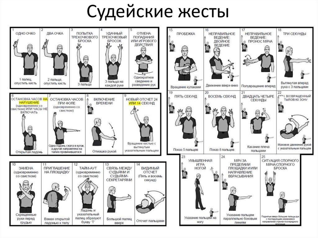 судейские жесты. жесты судьи в волейболе. жесты судей в баскетболе. судейские жесты в баскетболе. жесты судей в баскетболе.