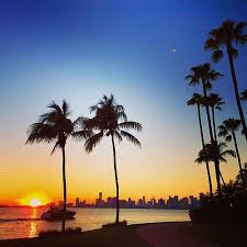 ☀️🌴🏖

Put away your sweaters and boots — it’s going to feel like spring in South Florida

hrld.us/2EGe3aA