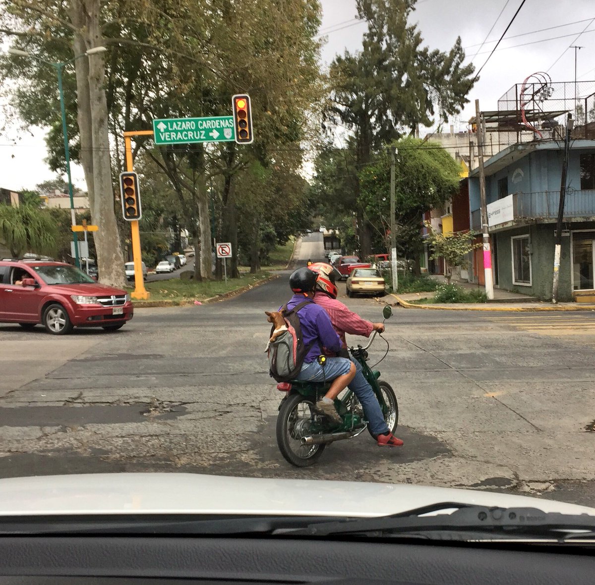 Yabhmora's tweet photo. Ayer iba manejando y les juro que morí de ternura cuando vi lo que iba en la mochila del señor... https://t.co/eybBOuiaas