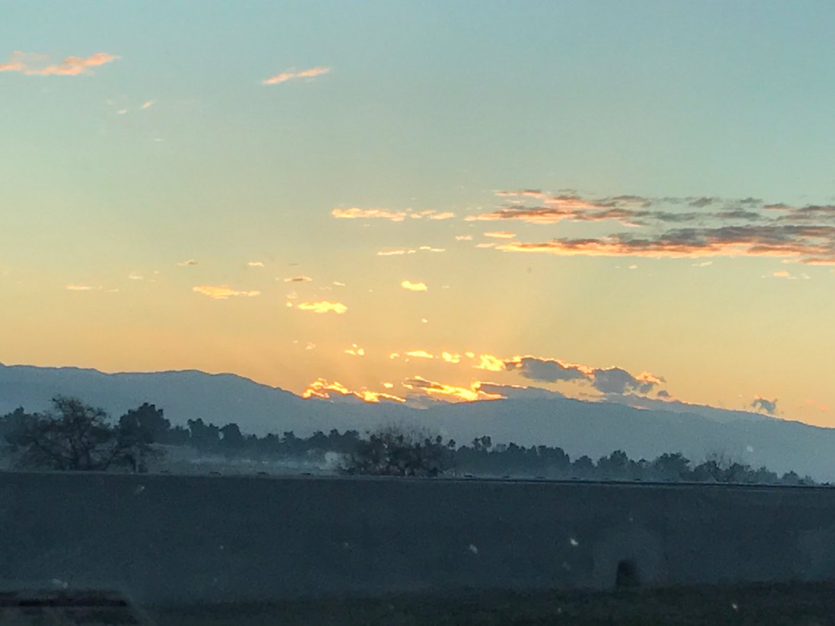 emilylin tweet media