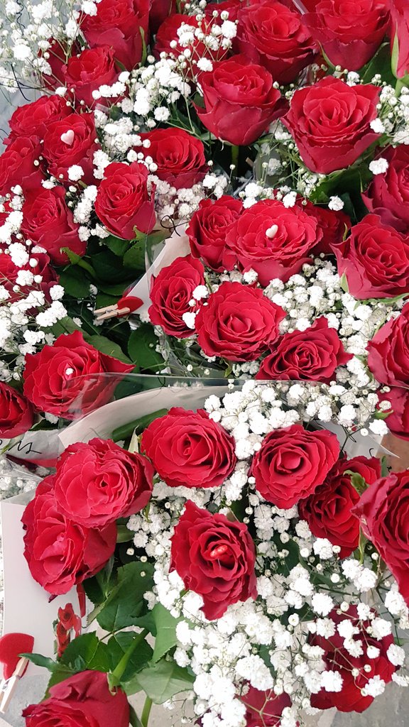 TheCellar5's tweet photo. Nothing says "I Love You" like a dozen Red Roses This Valentine's Day @TheCellar5 
Single Rose £2.50
Six Roses £12.00
Twelve Roses £23.00
#RedRoses #Crawley #ValentinesGift #ValentinesDay #HandTiedBoquet #TiedWithLove
#Eternal #Forver #BeMine #love https://t.co/eaUN4pYmex
