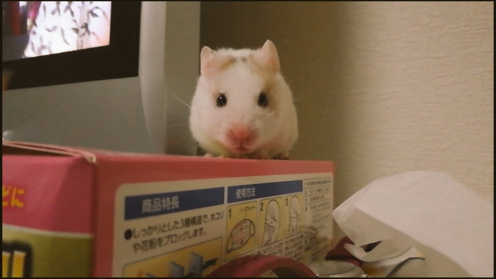 可愛すぎて苦しい 可愛すぎて苦しい