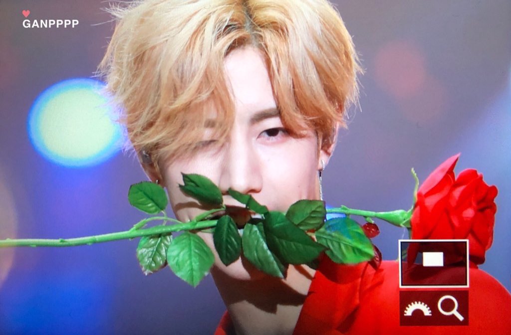 MB_destiny9397's tweet photo. Happy Valentines Day 🌹🌹🌹 @mtuan93 @BamBam1A https://t.co/UuYVn2a8eN
