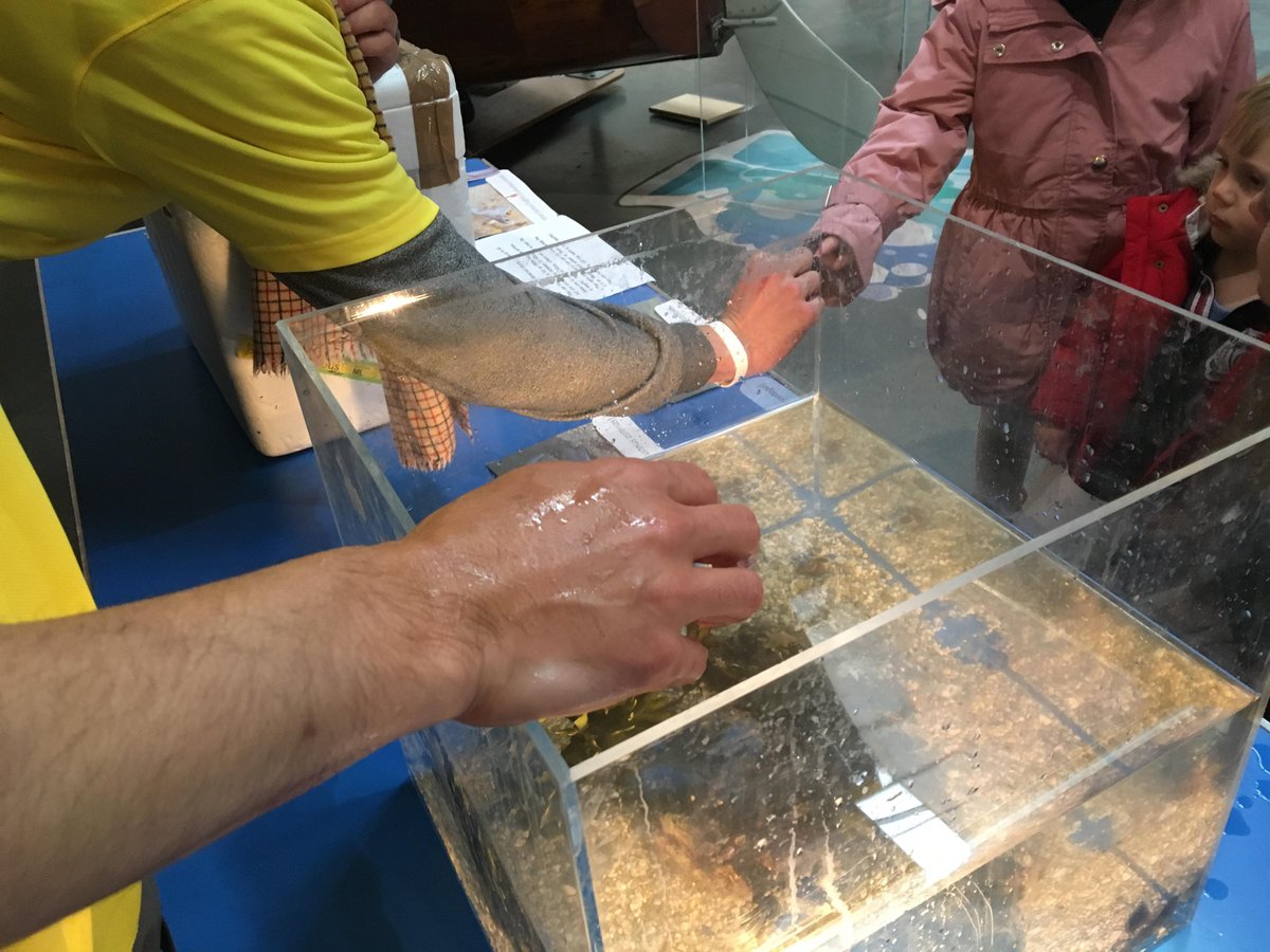 CLESCornwall's tweet photo. We've been having a lot of fun today @TheNMMC for our #ScienceOfTheSea event! #science #handsonlearning https://t.co/EJ1iKVJm2Z