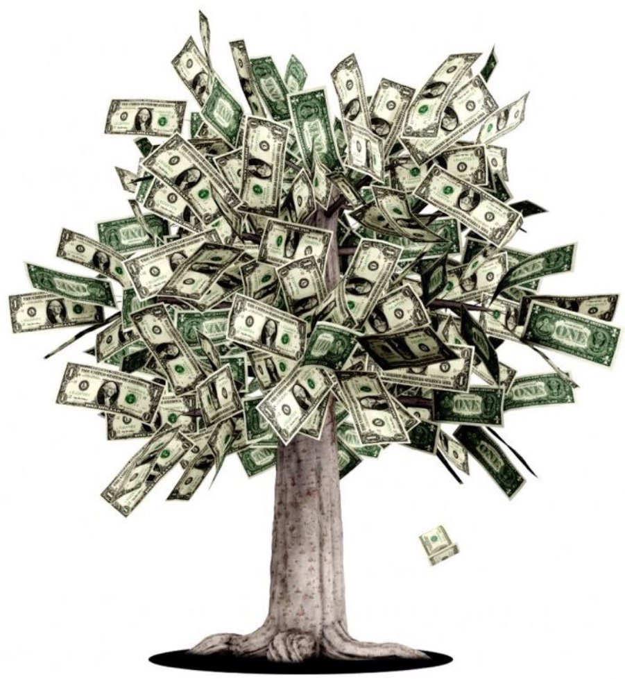 ___MichelleLee's tweet photo. Does money grow on trees? Maybe. #NEXUStoken @NEXUStoken https://t.co/sF2EWJxbUQ