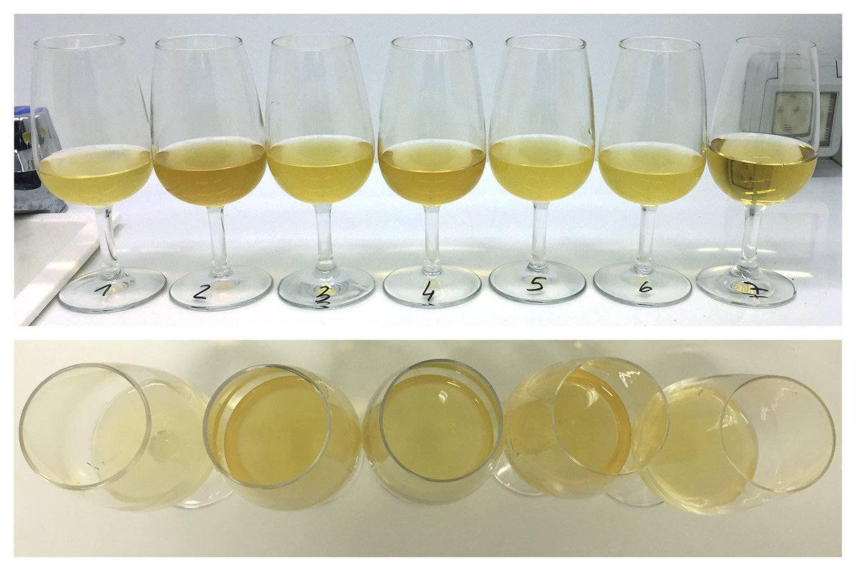 Aroma, sabor y color. Tres atributos que definen a la Sidra de Asturias y que son evaluados por nuestro Panel de Cata, reunido hoy por primera vez en este 2018. Estos análisis buscan garantizar la máxima calidad de la Sidra de Asturias antes de su salida al mercado.