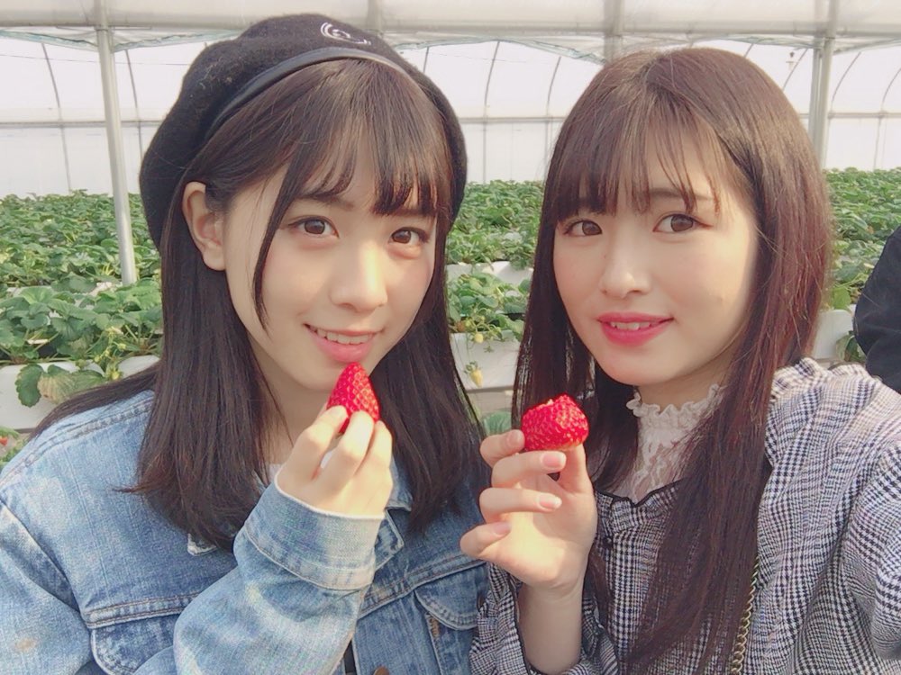 青木菜花 Twitter Search Twitter 青木菜花 Twitter Search Twitter