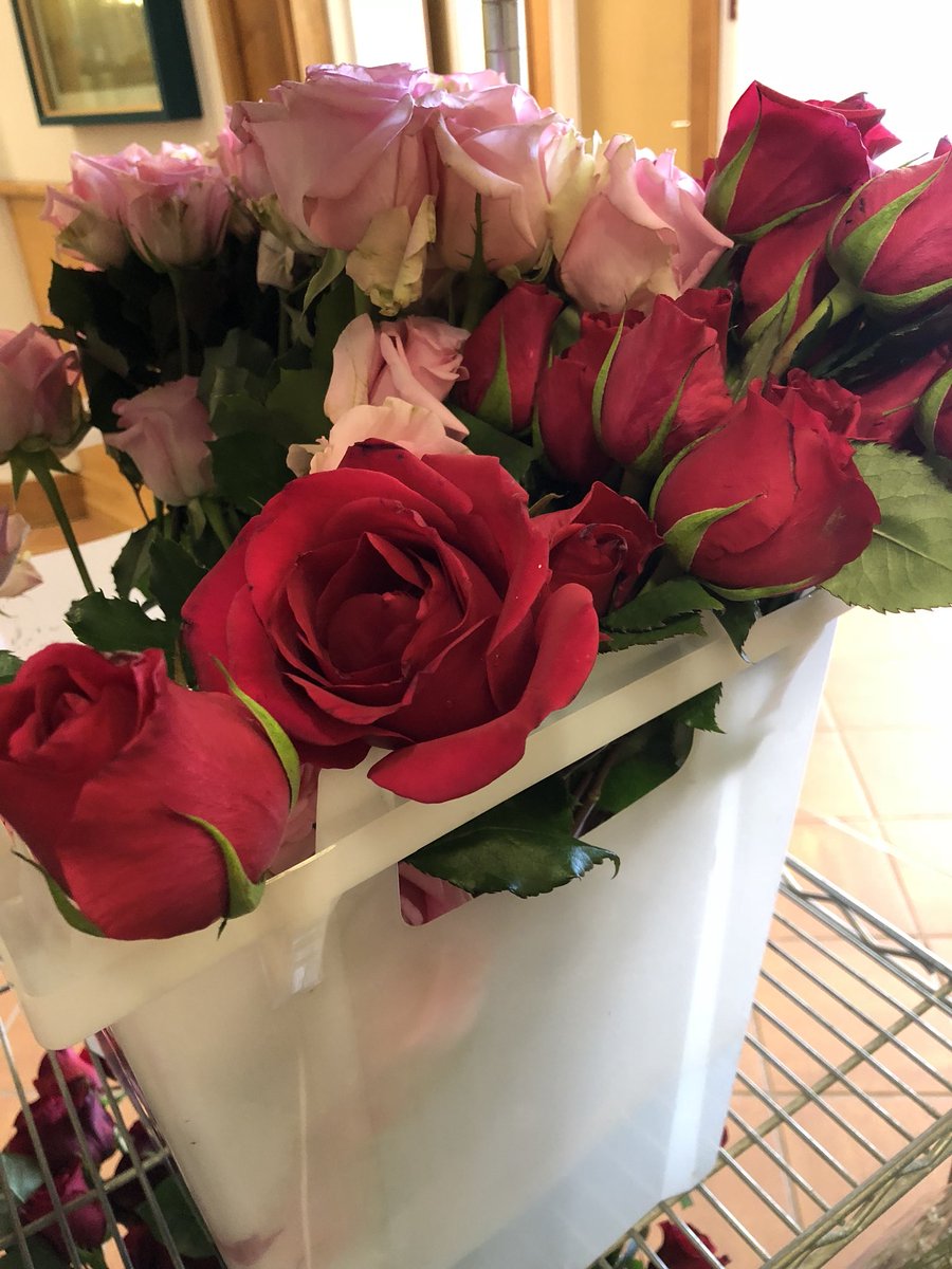 It’s that day again. Should you want to spend some money on your honey (or yourself, cause your worth it) come to the ACES Library where Horticulture Club is selling roses! Today and tomorrow from 10am-3pm 💐🌹💗💝