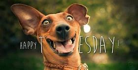 ProCareMTown's tweet photo. Happy Tuesday, everybody! Hope you're week is going well so far! https://t.co/uMutff0CVn