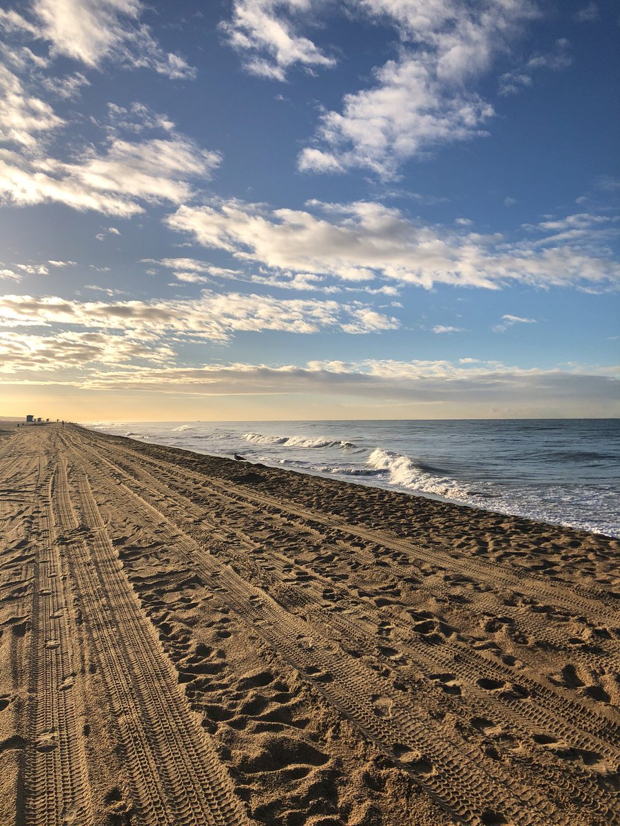 mtfarnsworth's tweet image. Forced myself to do early morning walk. Rewarded with this and dolphins! #CodeMedia