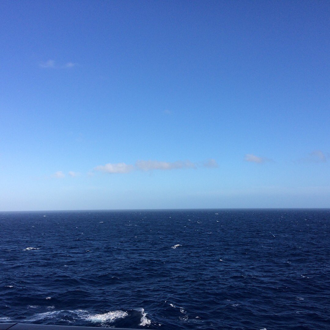 SimplyHopeL tweet picture