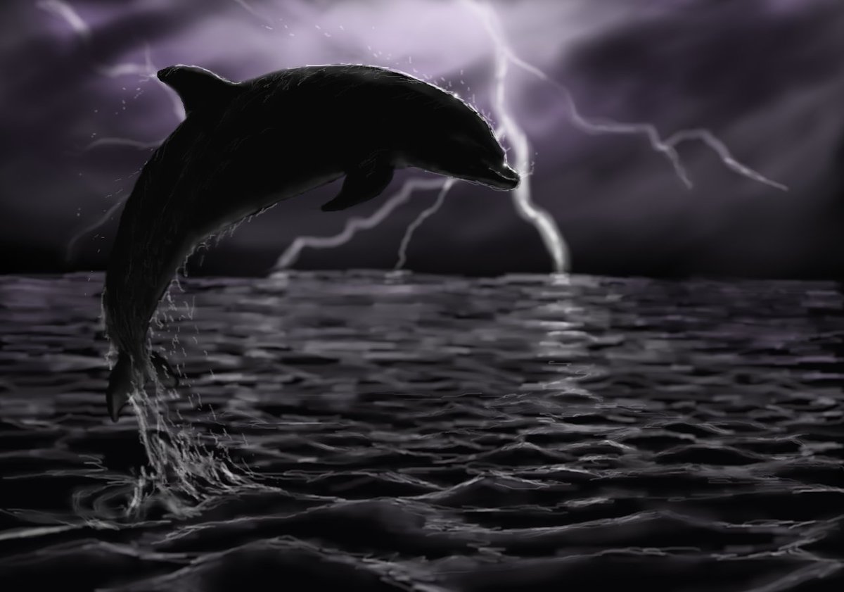 "Electric"

Digital art, done in MyPaint

#dolphin #bottlenosedolphin #cetacean #marinemammal #art #myart #digitalart