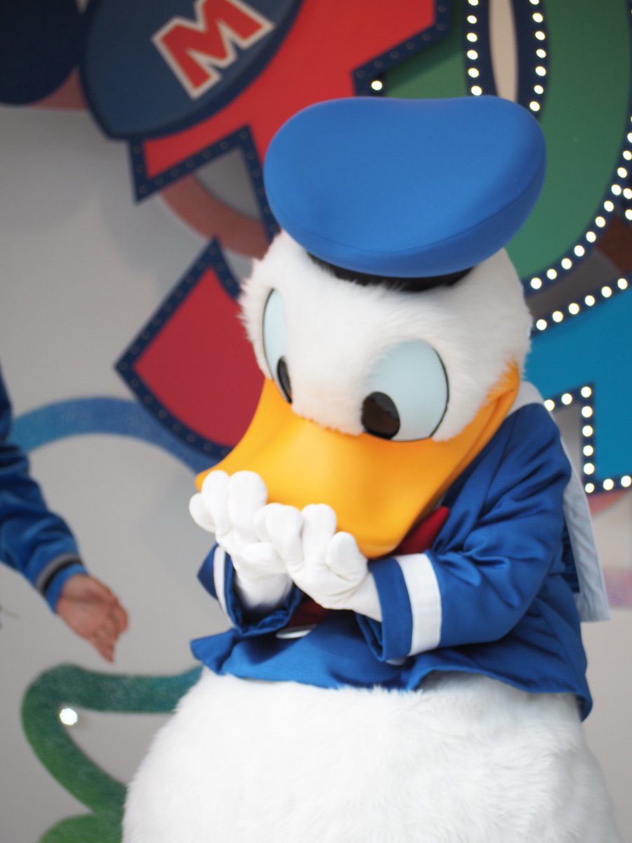 hr____d's tweet image. ピン死。
ちょーぜつ可愛い瞬間なのにピントさんなにしてくれてるの(いやお前)