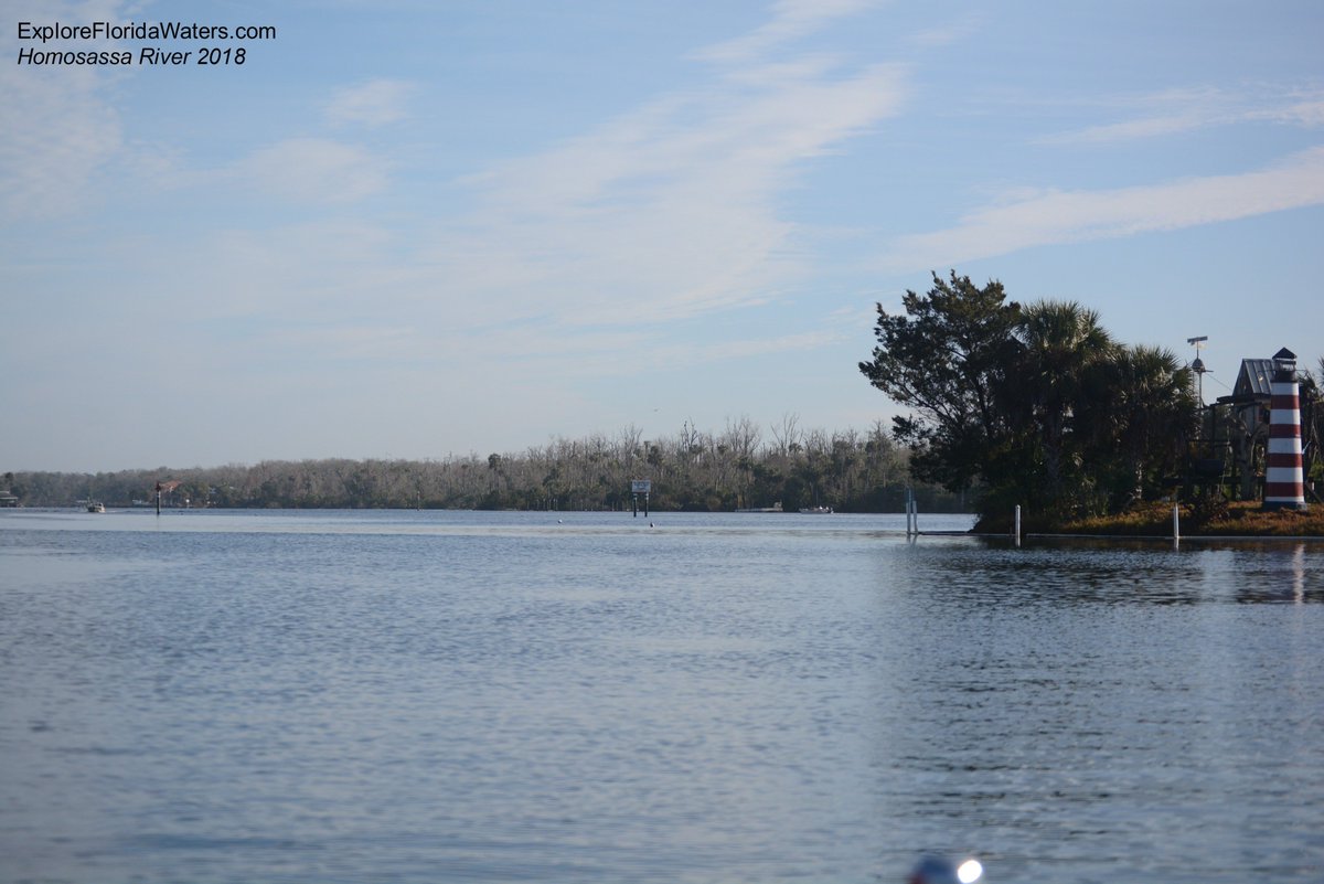 I've got a ton of posting to catch up on...got lots of photos to share from the Homosassa River and Placida, FL. Here's a view of the Homosassa from the boat ramp at MacRae's
#homosassa #homosassariver #river #boatramp #nikon