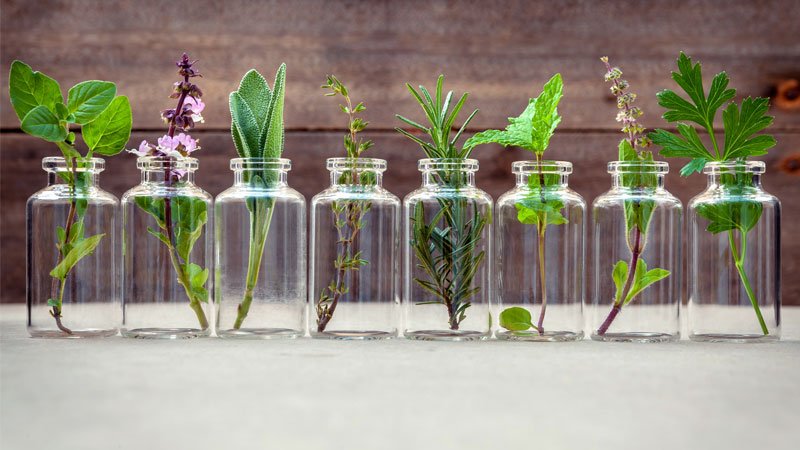 baseformula's tweet photo. Weβve created personality profiles for our favourite #essentialoils & matched them to well-known celebrities. Read our blog to see if any of these #aromatherapy oils are the perfect match for you! https://t.co/wkO53poZ7D https://t.co/9GFr0roOTd