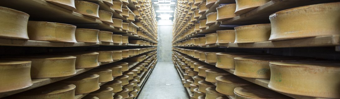 Agri_Gouv's tweet image. [#Alimentation] 🧀 En février 2018, l'appellation d'origine protégée (#AOP) du Beaufort fête ses 50 ans ! Reportage à la coopérative de Bourg-Saint-Maurice (Savoie) ➡️agriculture.gouv.fr/beaufort-le-fr… #produitslaitiers