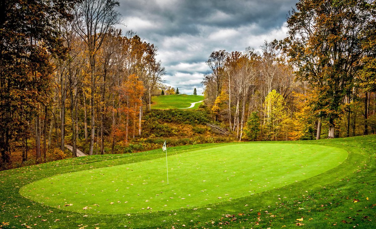 Little Bennett GC tweet media