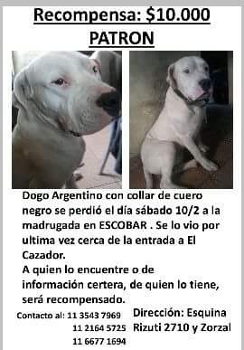 grachuramos1's tweet photo. @lavozdelosotros @BombitaDarin @refuasis @refugioenalerta @RefugioBaradero @RefugioPalomar @LasRenatasOk @dogoargento @Soledad_perrera @hayqueadoptar @adopteros_arg @PaseosZooSM @AdopPedigreeAr @protectoraapavl  @Perros_Perd_Enc @Animaltemporal2 https://t.co/31CmS49ZB3