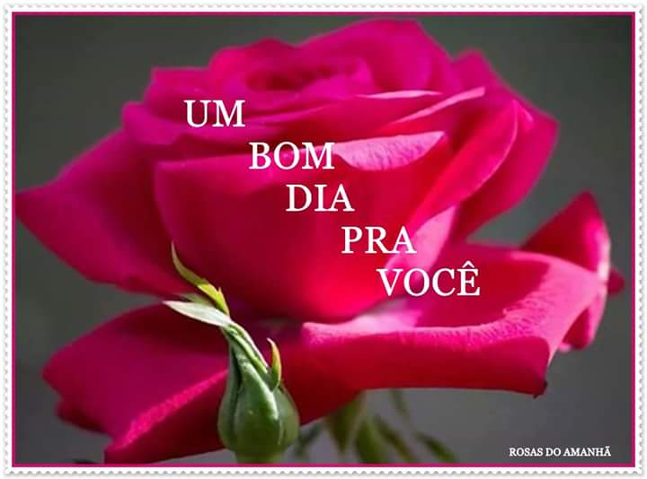 CorrinhaSousa's tweet photo. @SandraPrimo  https://t.co/VQKx0oAvXy