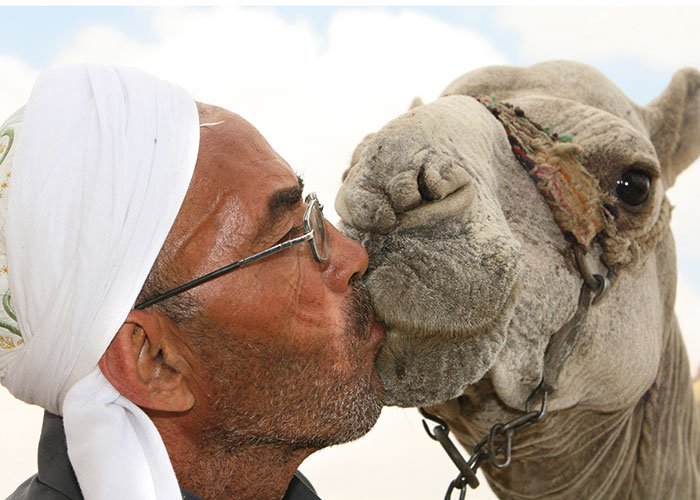humanityaward's tweet photo. Solving the riddle of camel piddle could aid those with #trypanosomiasis https://t.co/WQ9xAJhg7l https://t.co/7oMTcOxPMj