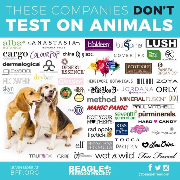 Pin by Mrs on Pets 1 (With images) Cruelty free brands
